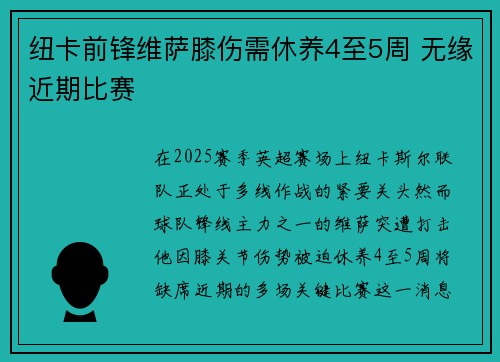 纽卡前锋维萨膝伤需休养4至5周 无缘近期比赛