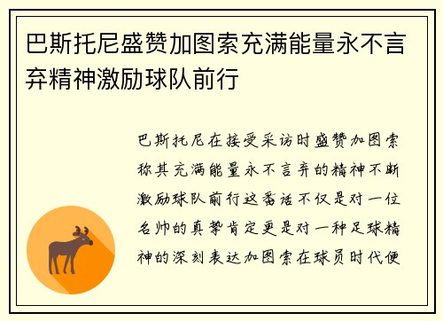 巴斯托尼盛赞加图索充满能量永不言弃精神激励球队前行